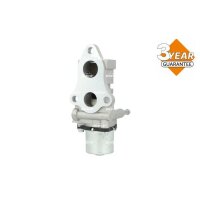NRF 48679 AGR-Ventil