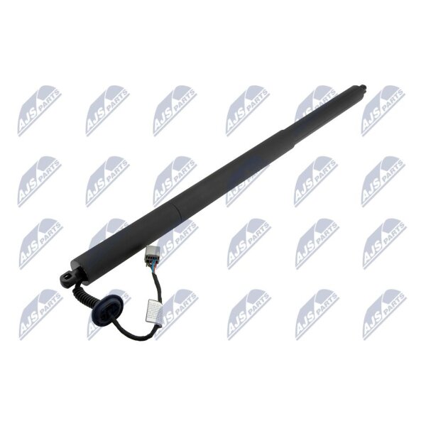 NTY AE-FR-065 Gasfeder, Koffer-/Laderaum