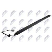 NTY AE-CH-049 Gasfeder, Koffer-/Laderaum