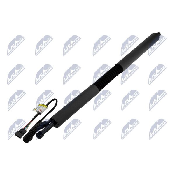 NTY AE-BM-109 Gasfeder, Koffer-/Laderaum