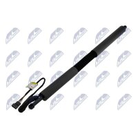 NTY AE-BM-109 Gasfeder, Koffer-/Laderaum
