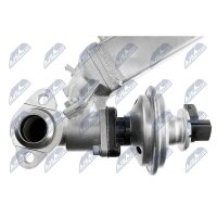 NTY EGR-BM-011A AGR-Ventil