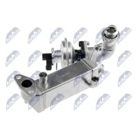 NTY EGR-BM-011A AGR-Ventil
