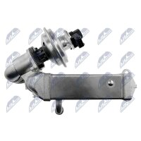 NTY EGR-BM-011A AGR-Ventil