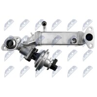 NTY EGR-BM-011A AGR-Ventil