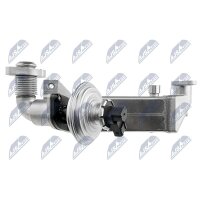 NTY EGR-BM-011A AGR-Ventil