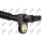 NTY HCA-CH-062 Sensor, Raddrehzahl