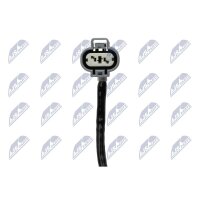 NTY EGT-MS-000 Sensor, Abgastemperatur