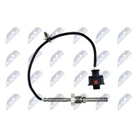 NTY EGT-DW-002 Sensor, Abgastemperatur