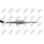 NTY EGT-CT-001 Sensor, Abgastemperatur