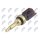 NTY ECT-CT-006 Sensor, Kühlmitteltemperatur