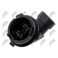 NTY EZ-PL-001 Lampenfassung, Hauptscheinwerfer