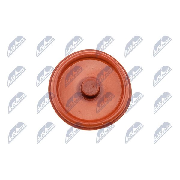 NTY BPZ-PL-005 Zylinderkopfhaube