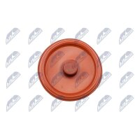 NTY BPZ-PL-005 Zylinderkopfhaube