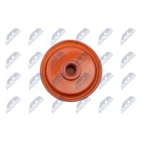 NTY BPZ-PL-005 Zylinderkopfhaube