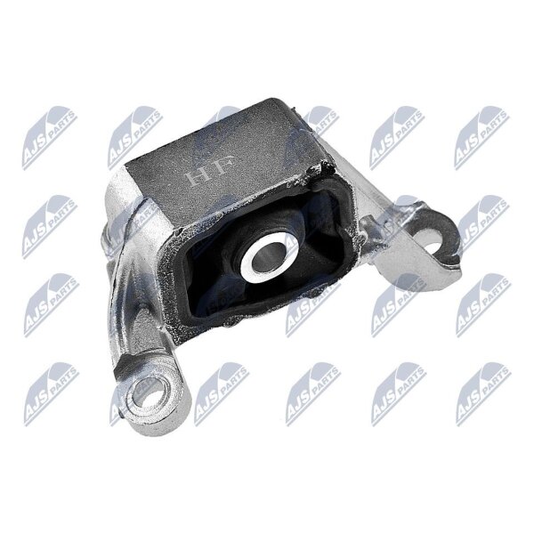 NTY ZPS-HD-008 Lagerung, Motor
