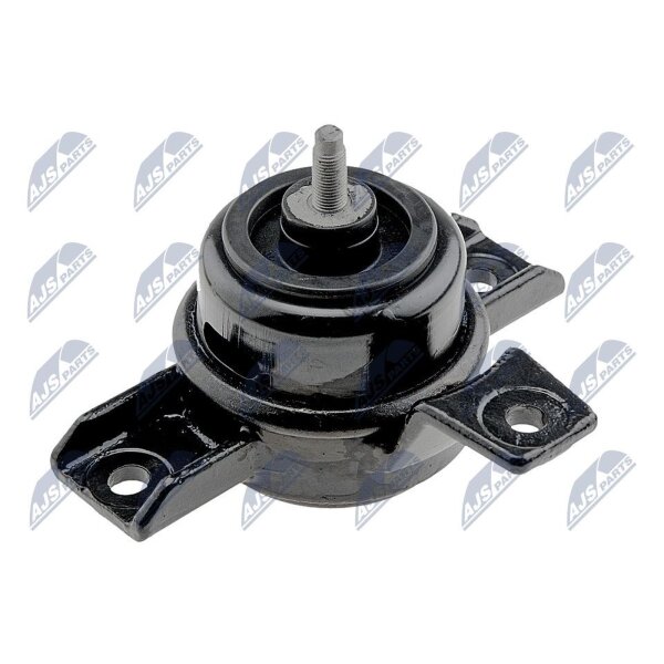 NTY ZPS-KA-325 Lagerung, Motor