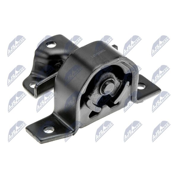 NTY ZPS-NS-071 Lagerung, Motor