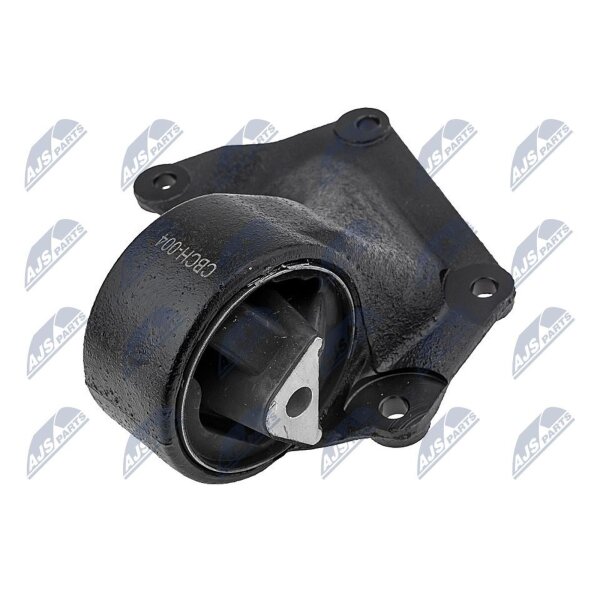 NTY ZPS-CH-004 Lagerung, Motor