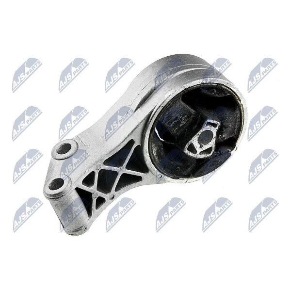 NTY ZPS-PL-024 Lagerung, Motor