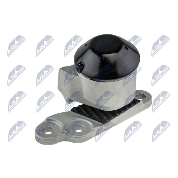 NTY ZPS-FR-053 Lagerung, Motor