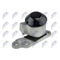 NTY ZPS-FR-053 Lagerung, Motor
