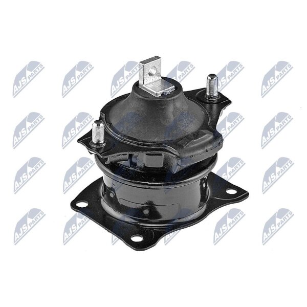 NTY ZPS-HD-033 Lagerung, Motor