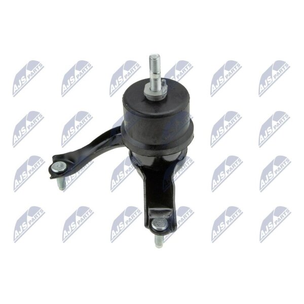 NTY ZPS-TY-001 Lagerung, Motor