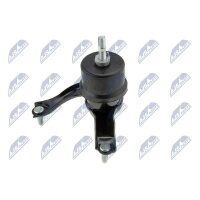 NTY ZPS-TY-001 Lagerung, Motor