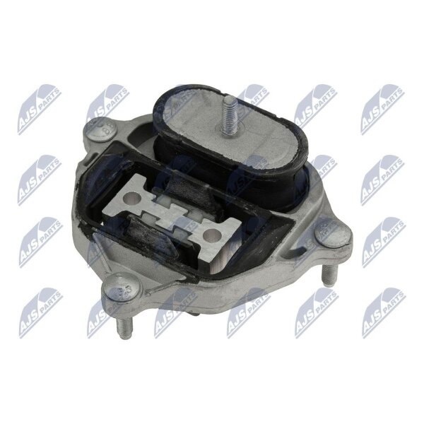 NTY ZPS-AU-001 Lagerung, Automatikgetriebe
