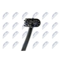 NTY EWP-CT-001 Sekundärluftpumpe
