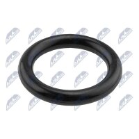NTY EUS-SU-002 Dichtring, Kerzenschacht
