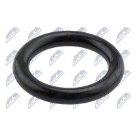NTY EUS-SU-002 Dichtring, Kerzenschacht