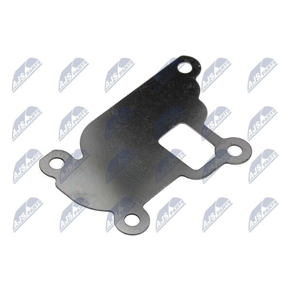 NTY EGR-PL-039 AGR-Ventil