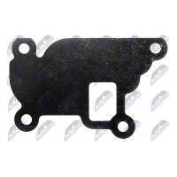 NTY EGR-PL-039 AGR-Ventil