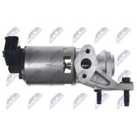 NTY EGR-CH-004 AGR-Ventil