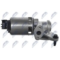 NTY EGR-CH-004 AGR-Ventil