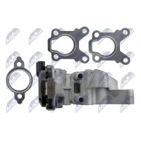 NTY EGR-NS-007 AGR-Ventil