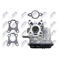 NTY EGR-NS-007 AGR-Ventil