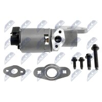 NTY EGR-CH-002 AGR-Ventil