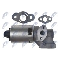 NTY EGR-CH-007 AGR-Ventil