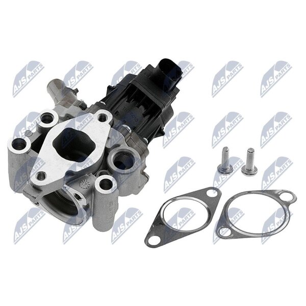 NTY EGR-FT-010 AGR-Ventil
