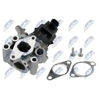 NTY EGR-FT-010 AGR-Ventil