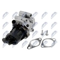 NTY EGR-FT-010 AGR-Ventil