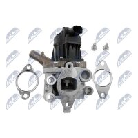 NTY EGR-FT-010 AGR-Ventil