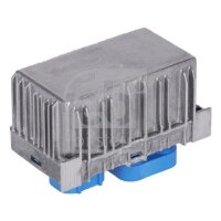 FEBI BILSTEIN 183987 Steuergerät, Glühzeit