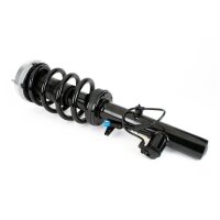 Arnott SK-3604 Stoßdämpfer