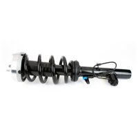 Arnott SK-3604 Stoßdämpfer
