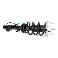 Arnott SK-3605 Stoßdämpfer