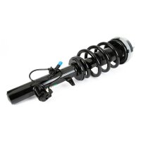 Arnott SK-3605 Stoßdämpfer